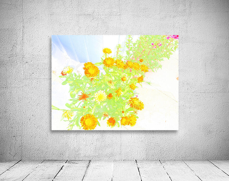  Ethereal Summer Flowers                                                                                                                     Wall Preview