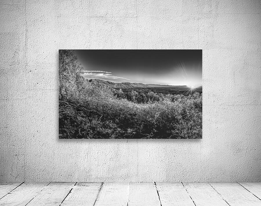 Porter Mountain Black and White Wall Preview