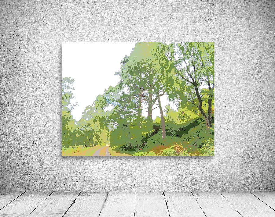 Abstract Forest in the Scottish Highlands                                                                                                                       Wall Preview