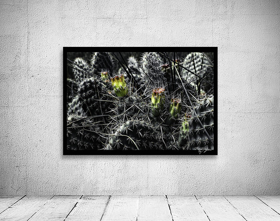 Protected Blossoms Wall Preview