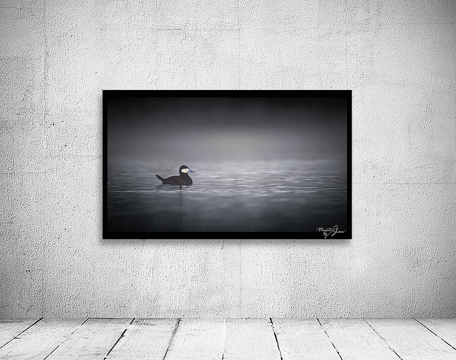 Foggy Morning Ruddy Wall Preview