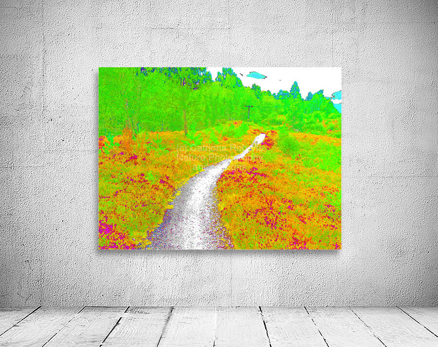  Surreal Nature Path through the Scottish Highlands                                                                                                                     Wall Preview