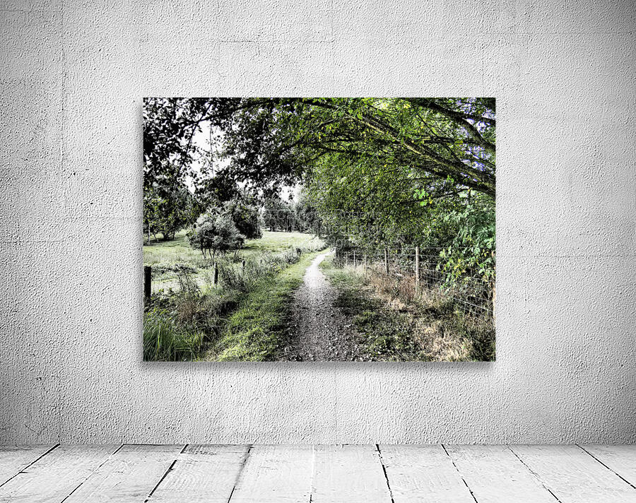  Natures Summer Path through the Scottish Highlands                                                                                                                     Wall Preview
