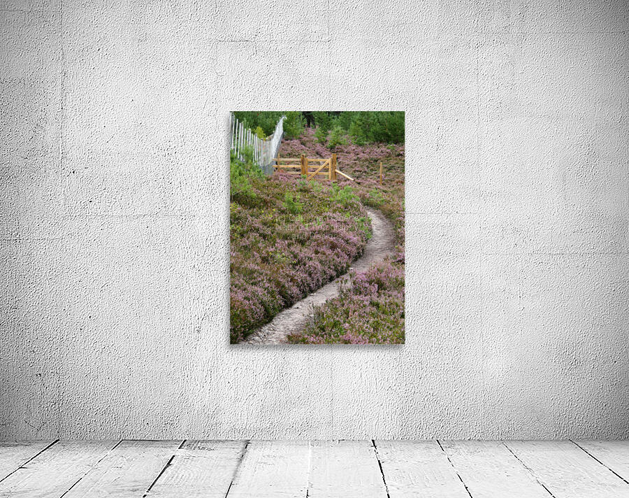  The Heather Honey Trail through the Scottish Highlands                                                                                                                     Wall Preview