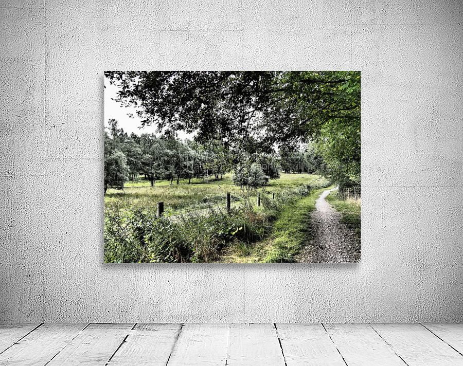 Summer Path in the Scottish Highlands                                                                                                                      Wall Preview