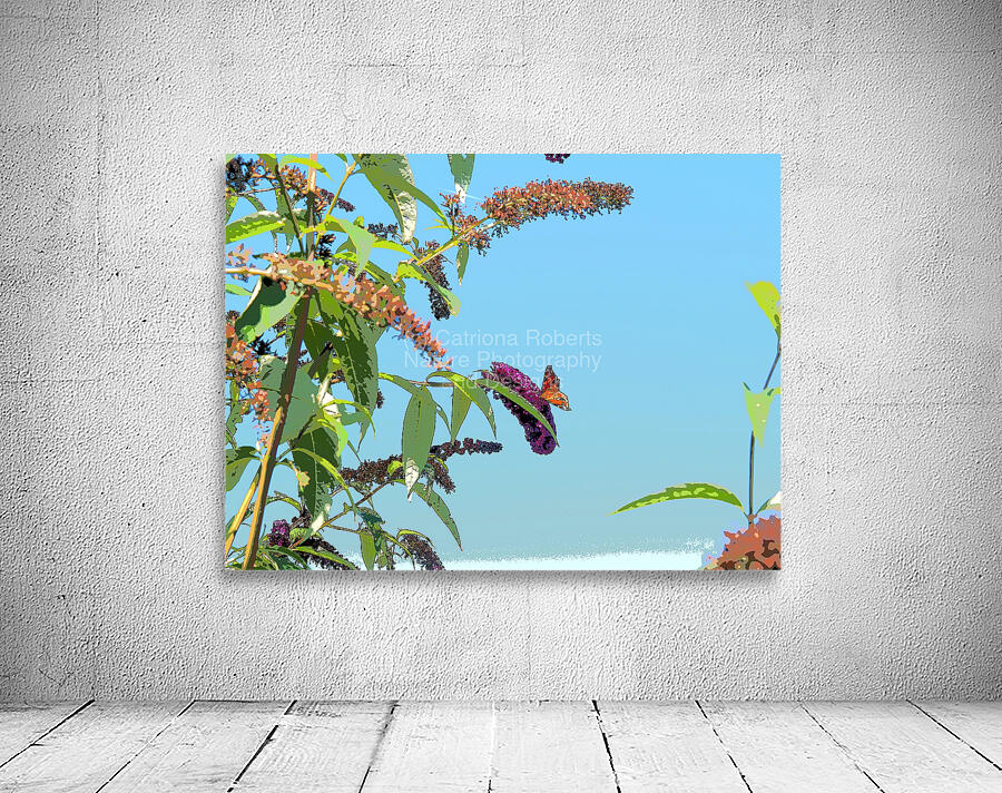 Butterfly on Vibrant Buddleia Blossoms                                                                                                                     Wall Preview