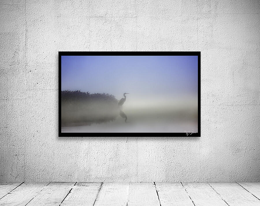 Patient Wall Preview