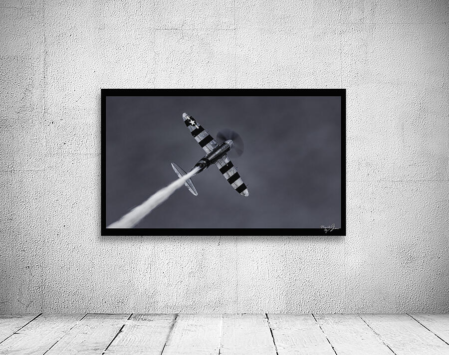 War Bird 1 Wall Preview