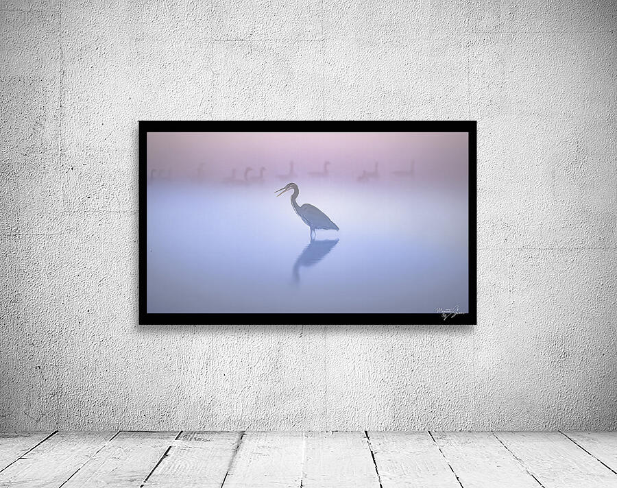 Early Birds Wall Preview