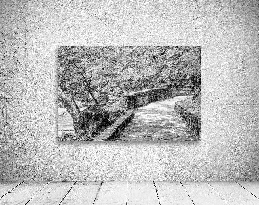 Pathway To Big Spring Grayscale Wall Preview