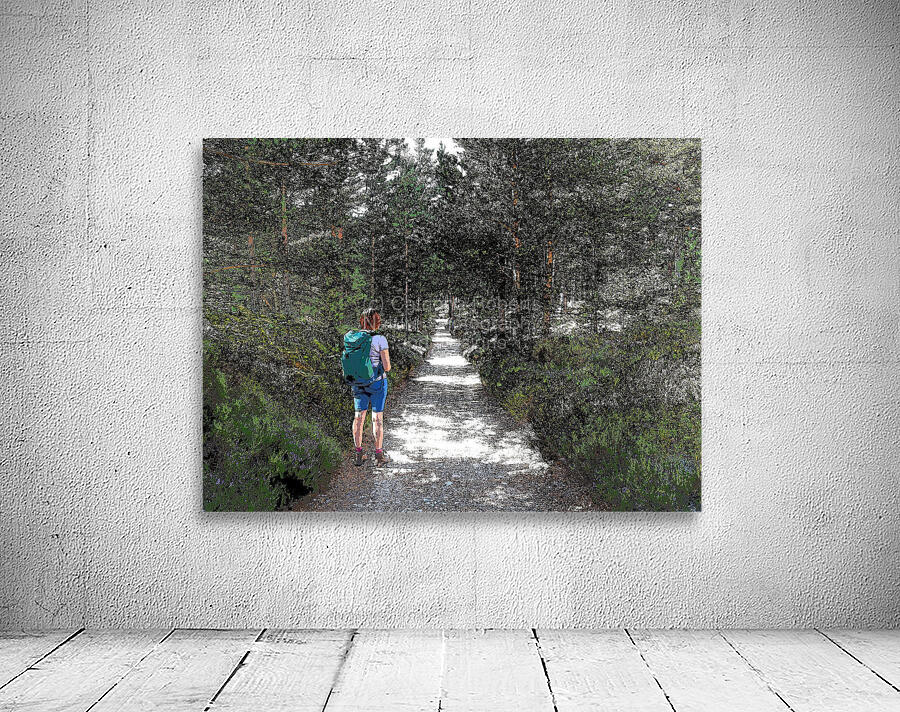  Trail Walking in the Scottish Highlands                                                                                                      Wall Preview