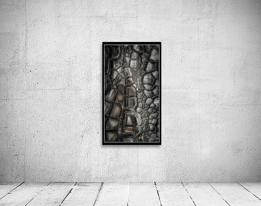 Drought after the Rain Wall Preview