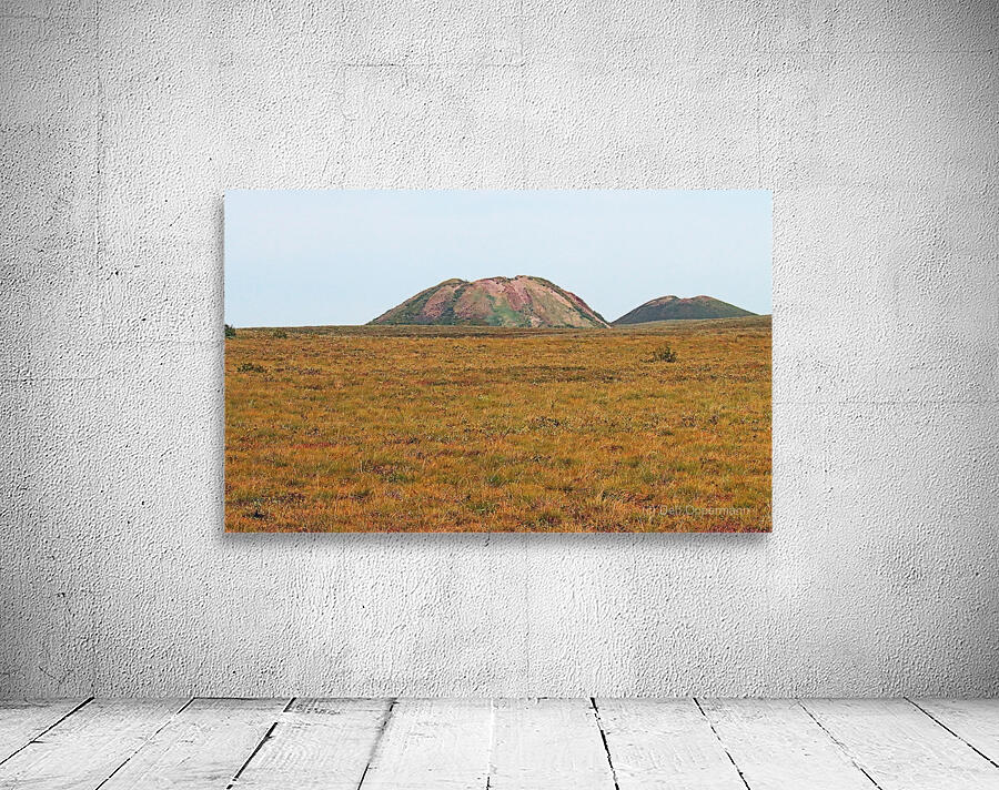 Pingo Canadian Landmark Wall Preview