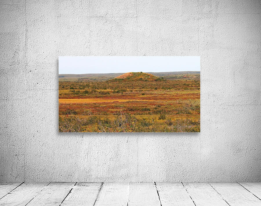 Pingo And Tundra Wall Preview