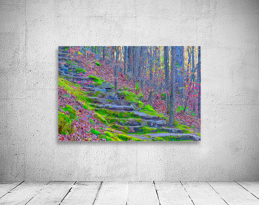 FOREST STAIRCASE  Wall Preview