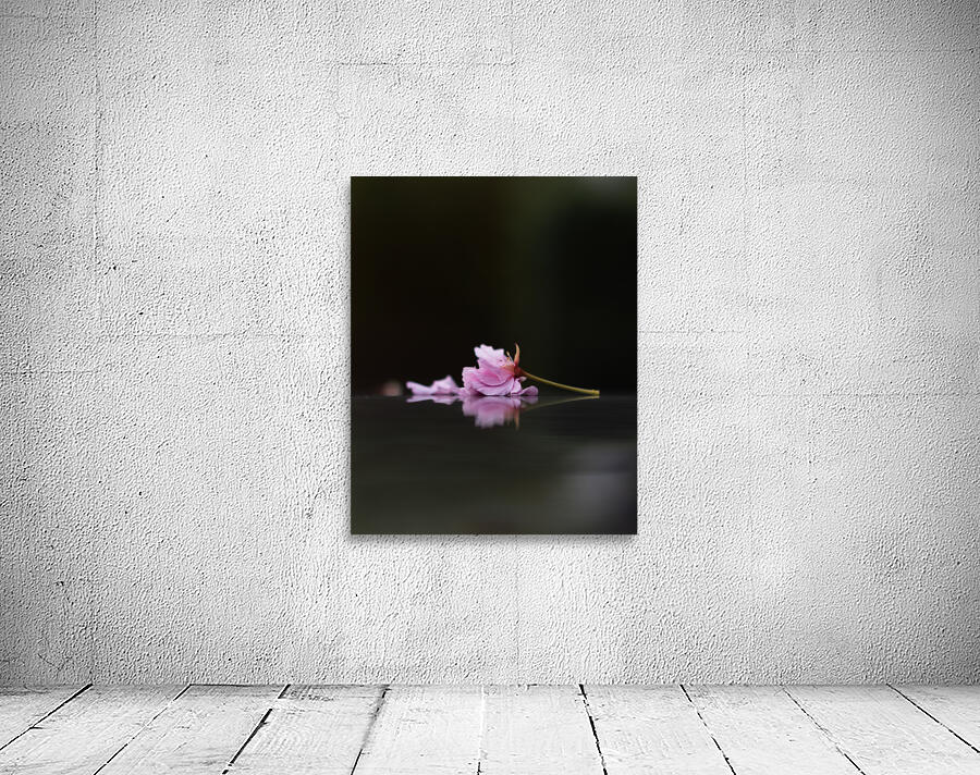 Sleeping Beauty Wall Preview