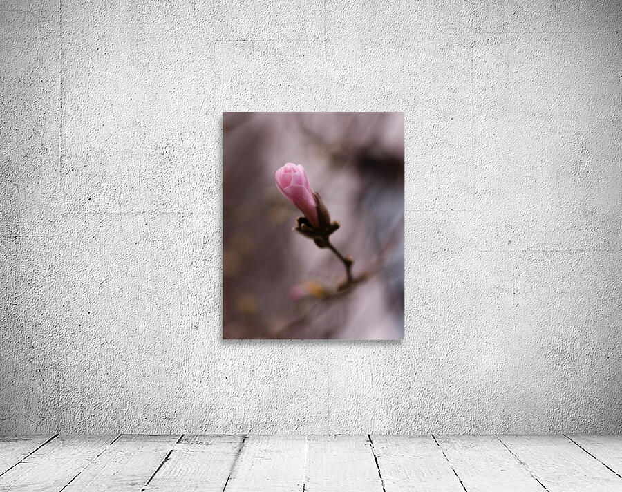 Second Chances Wall Preview