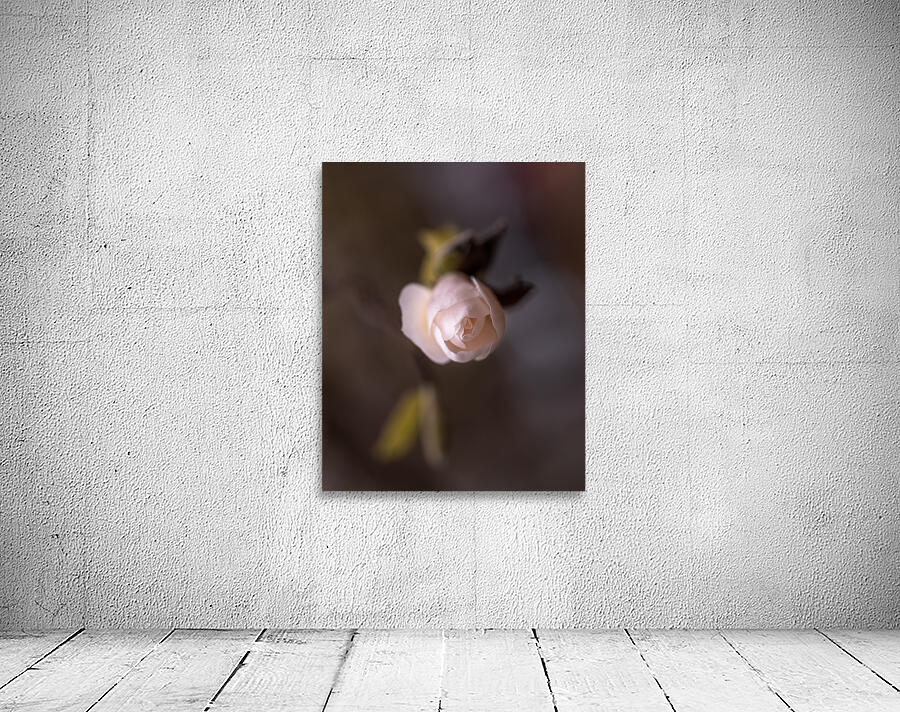 New Beginnings Wall Preview