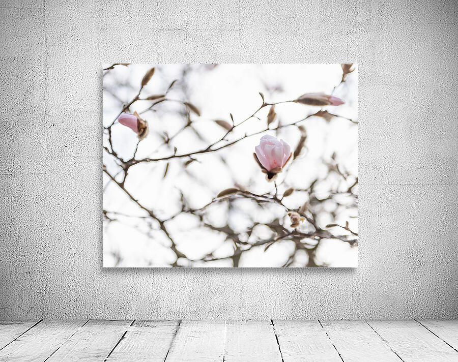 Reverie Wall Preview