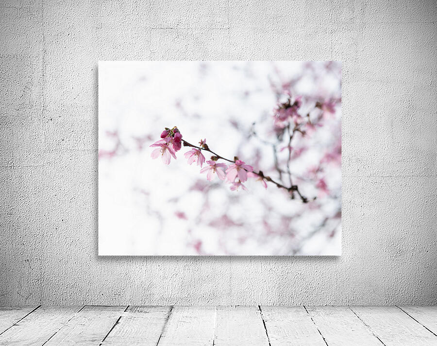 Awakenings Wall Preview