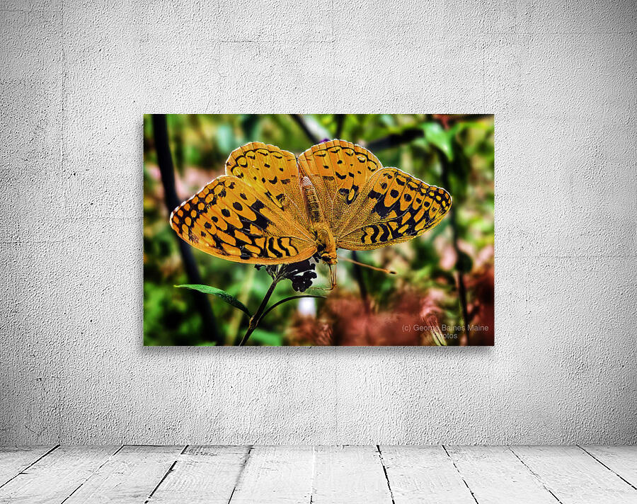 Feeding in the Light Wall Preview