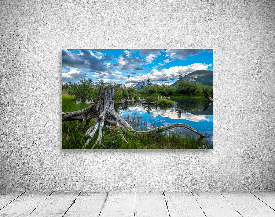 Canadas Jurassic World Wall Preview