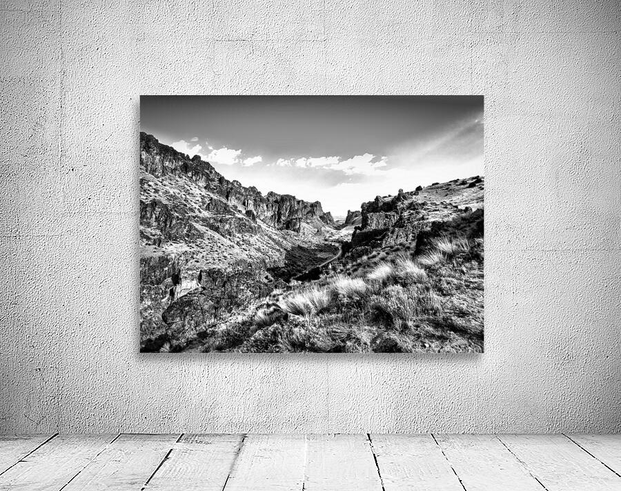 Birch Creek Ranch – Owyhee Canyonlands B&W Wall Preview