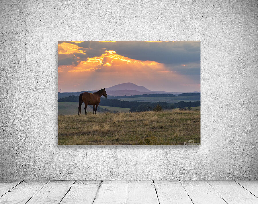 Picturesque Eve Wall Preview