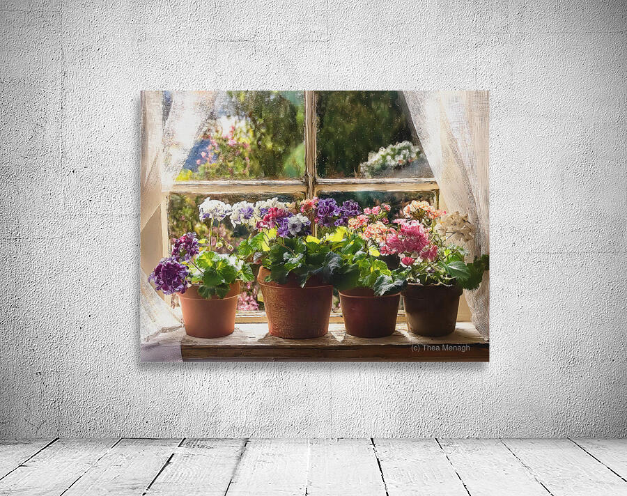 Geraniums Keep the Outside In Wall Preview