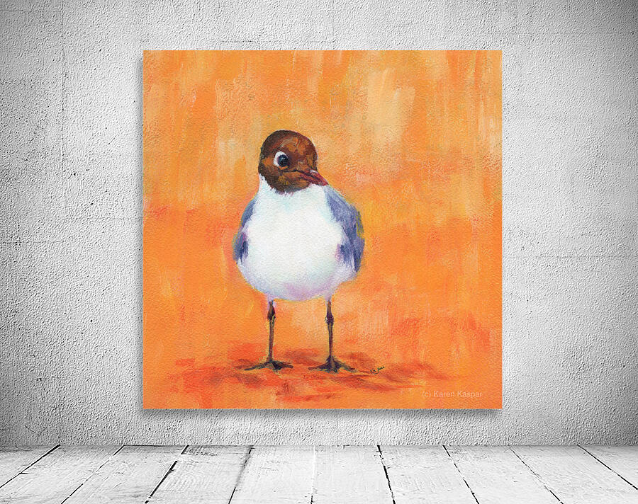 Black headed gull at the sandy beach Wall Preview