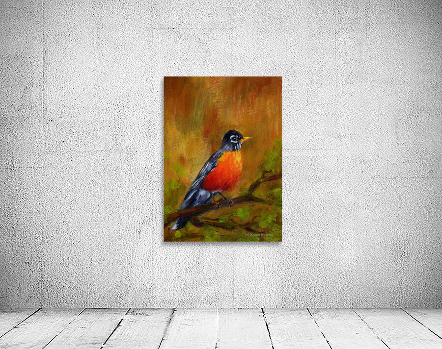 North American Robin portrait Wall Preview