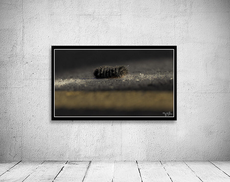 Catepillar Crossing Wall Preview