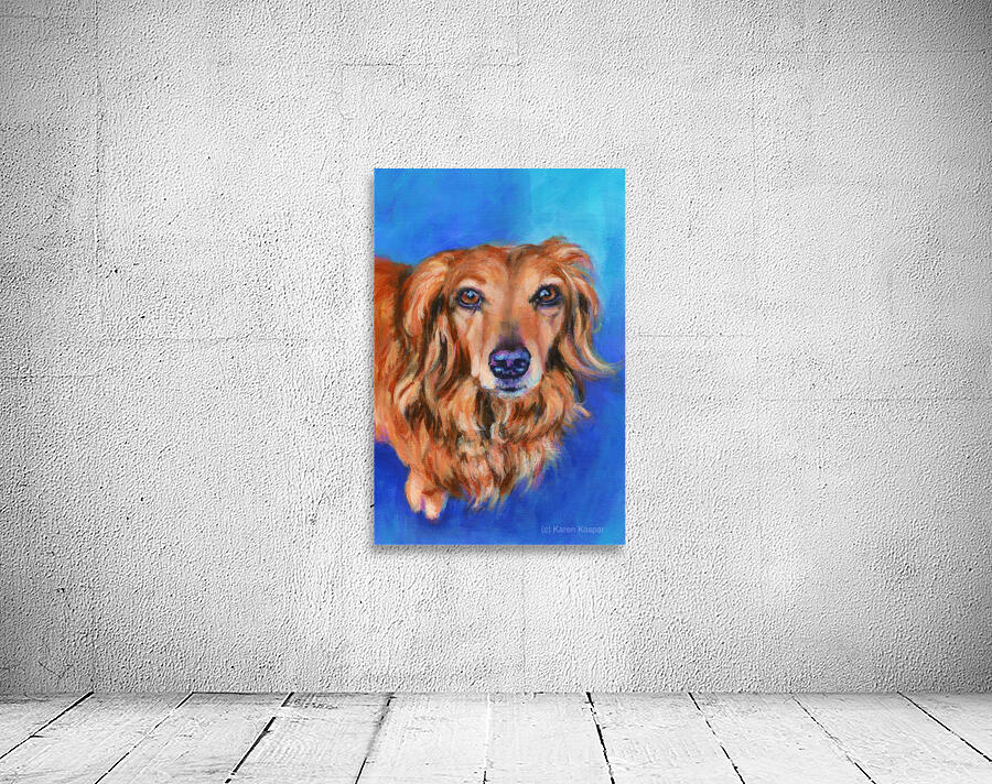 Long haired dachshund portrait acrylic painting Wall Preview