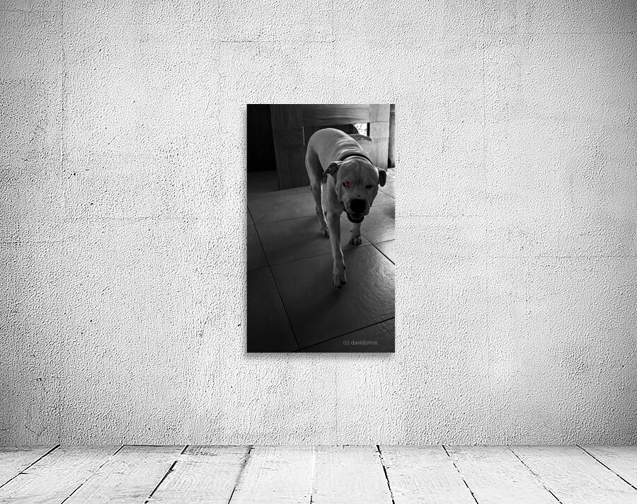 Deamon  Wall Preview