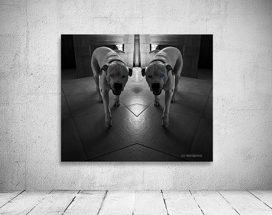 Deamonic Angel Wall Preview