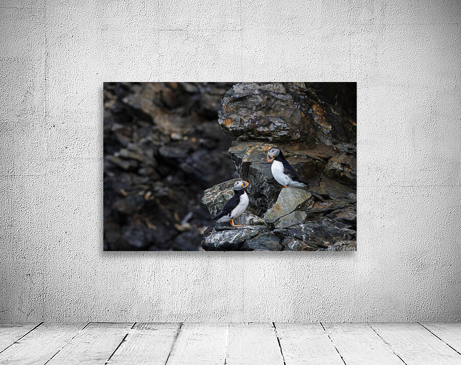 The Proposal Wall Preview