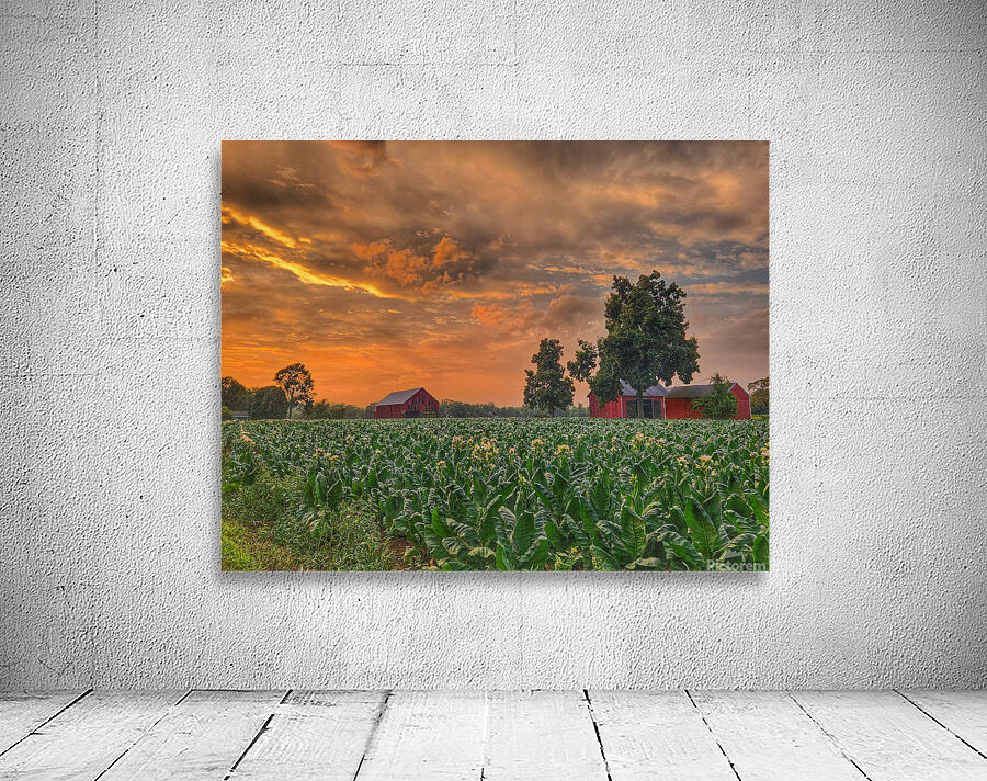 06Jun HortonFarm Wall Preview