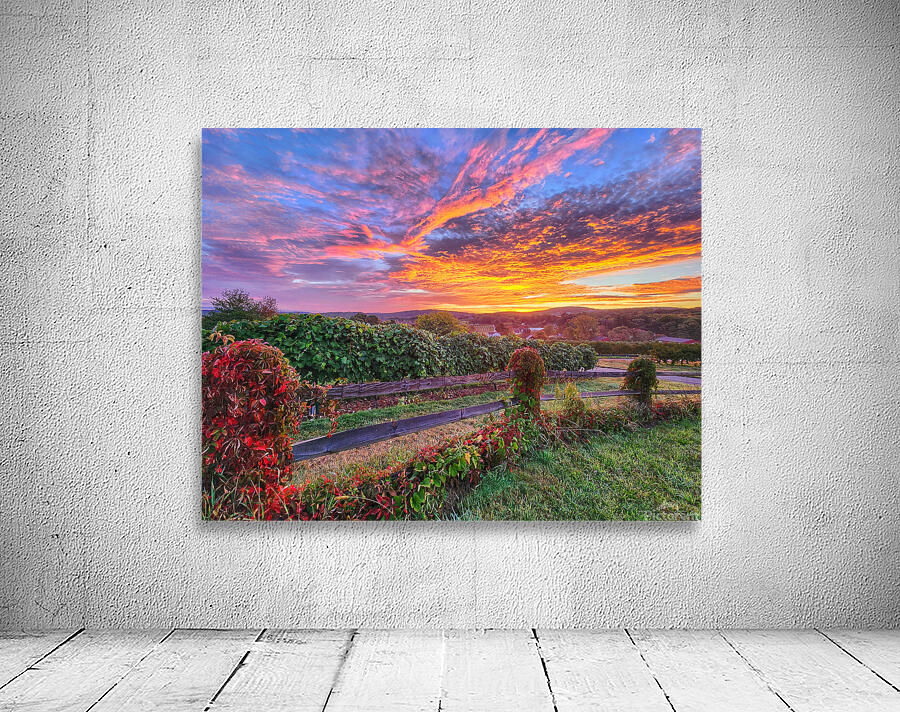 09Aug Belltown Hill Orchards Wall Preview