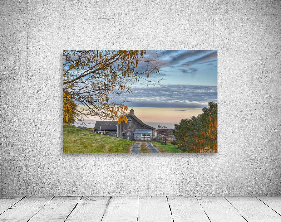 11Nov Hi Gate Farms Wall Preview