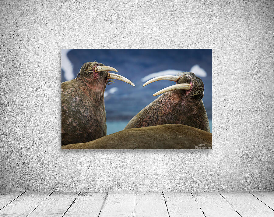 SIBLING QUARRELS Wall Preview