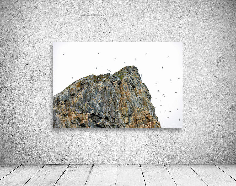 THE LIVING CLIFF Wall Preview