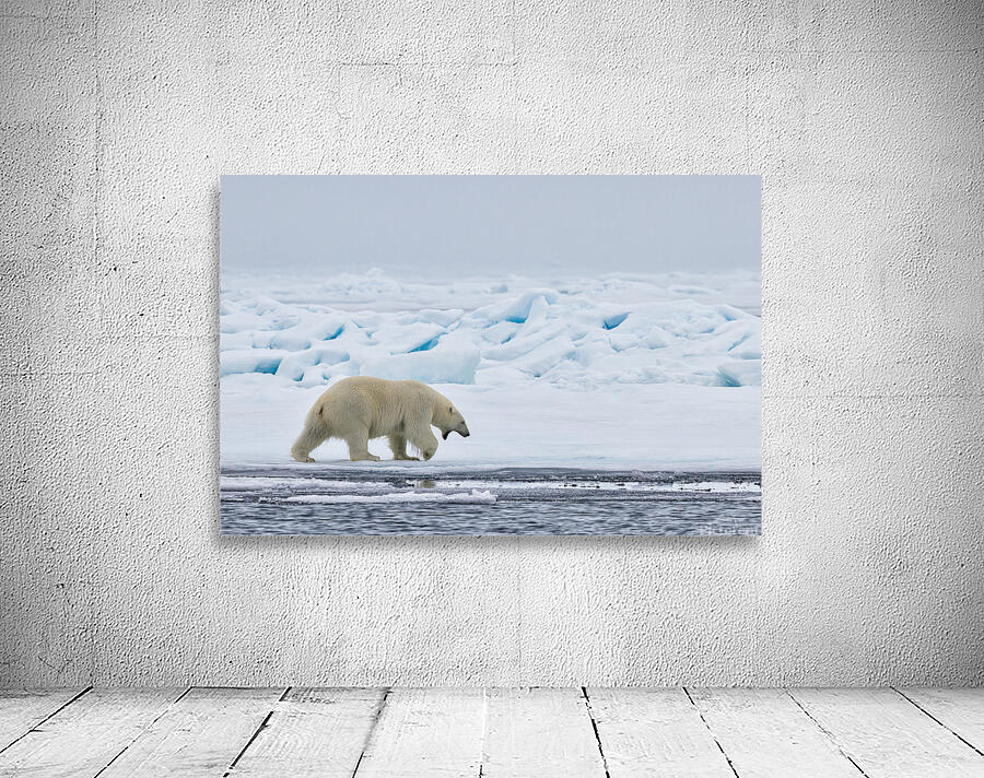 EMPRESS OF THE ARCTIC 3 Wall Preview