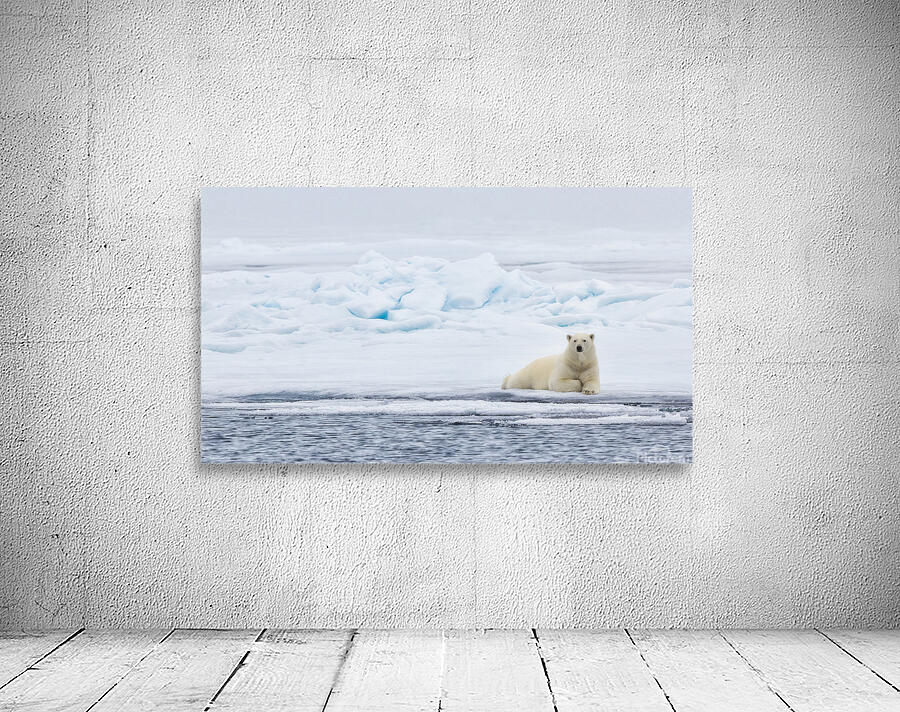 EMPRESS OF THE ARCTIC Wall Preview