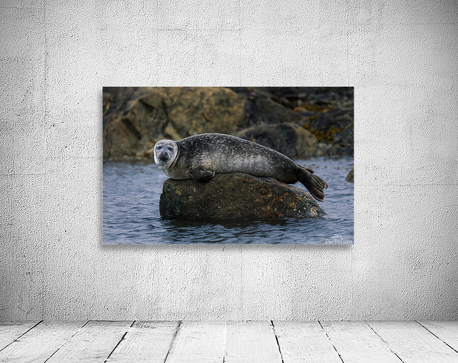 THE ROCK S KEEPER Wall Preview