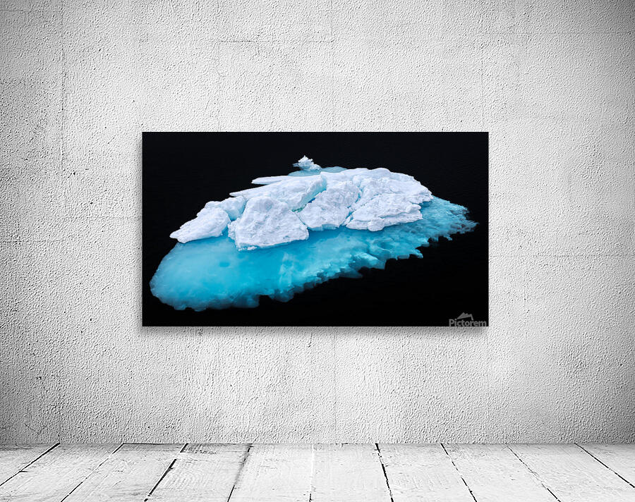 JELLYFISH ICEBERG Wall Preview