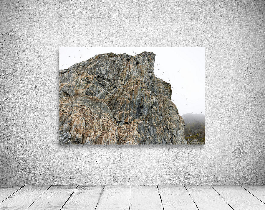 AVIAN HIGH RISE Wall Preview