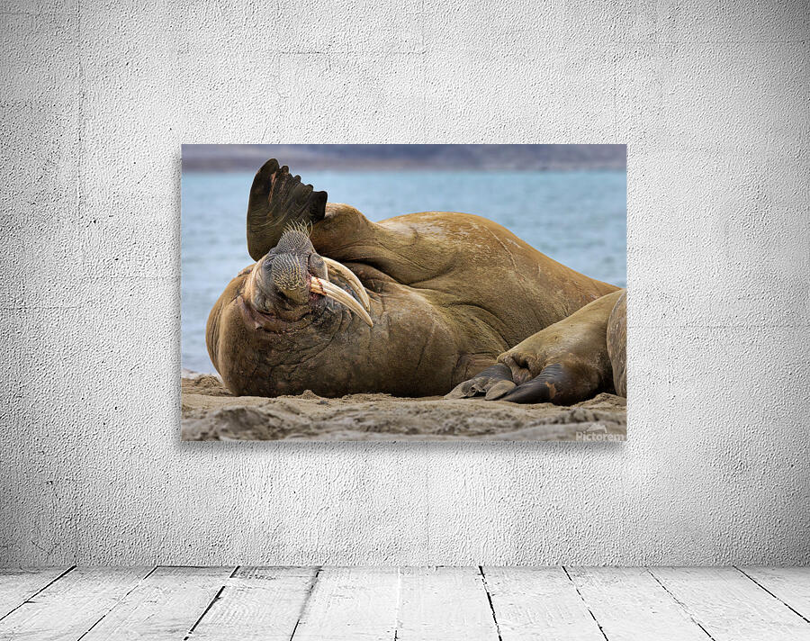 MONDAYS Wall Preview