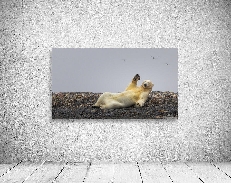 COME PLAY WITH ME Wall Preview