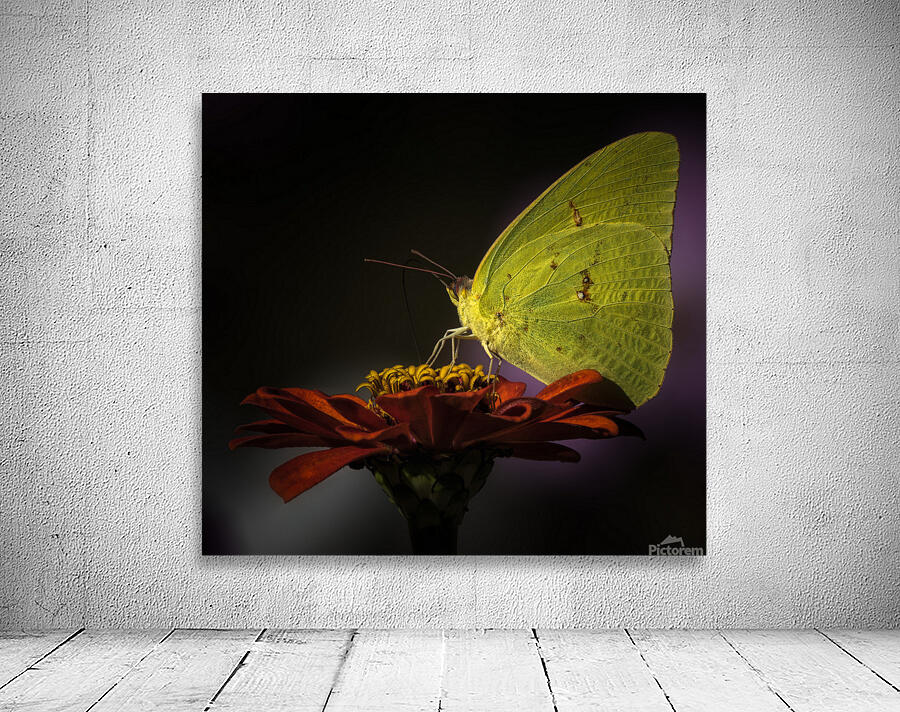 LANDING PAD Wall Preview