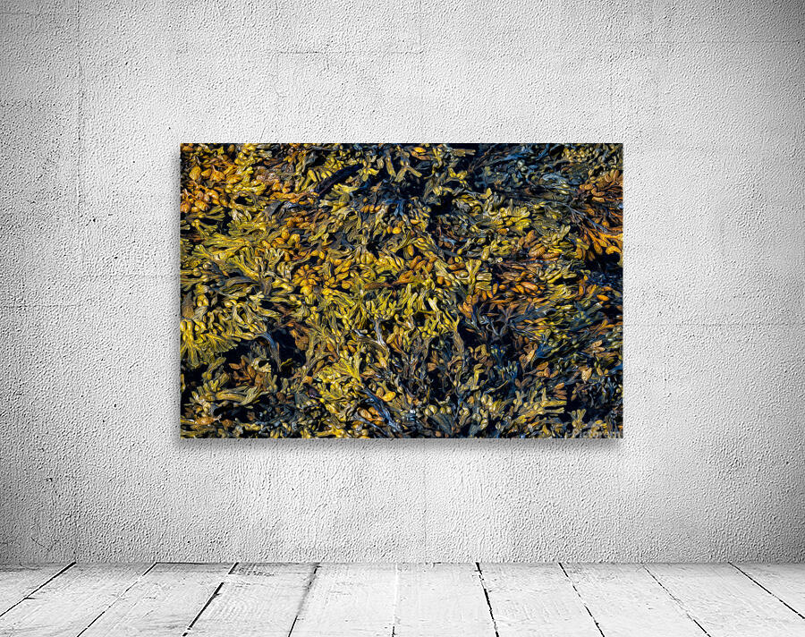 TAPESTRY DU FRANC Wall Preview